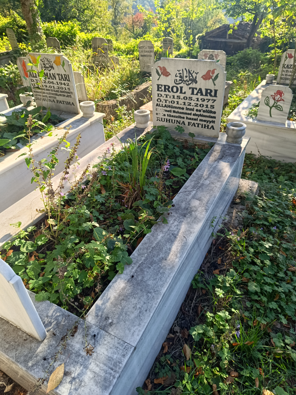 EROL TARI