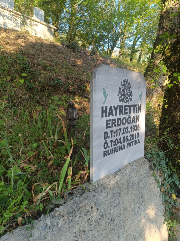 HAYRETTİN ERDOĞAN